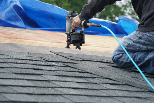 Best Metal Roofing Contractor  in Palmer, AK