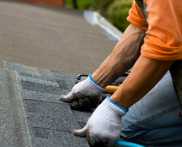 Best Local Roofing Companies  in Palmer, AK