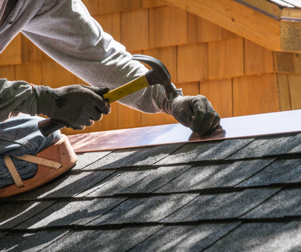 Best Roof Replacement Cost  in Palmer, AK